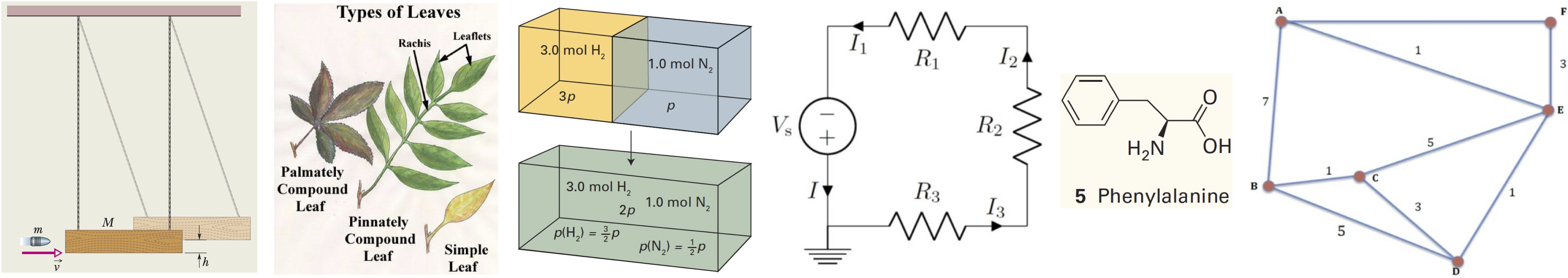 arithmetic reasoning